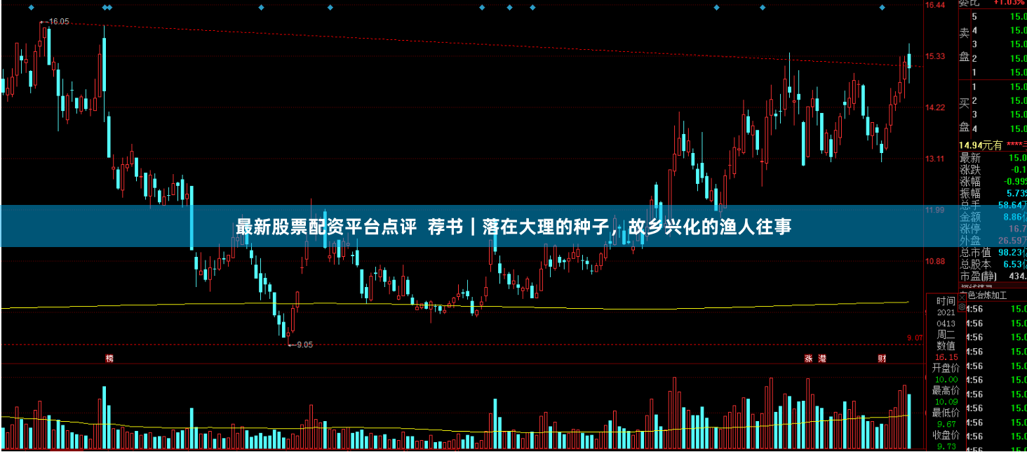 最新股票配资平台点评  荐书｜落在大理的种子，故乡兴化的渔人往事