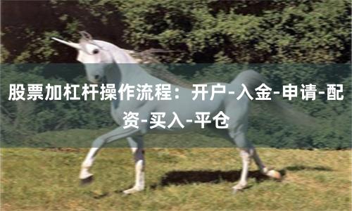 股票加杠杆操作流程：开户-入金-申请-配资-买入-平仓
